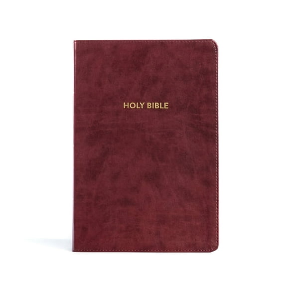 KJV Rainbow Study Bible, Burgundy Leathertouch, Indexed, (Hardcover)