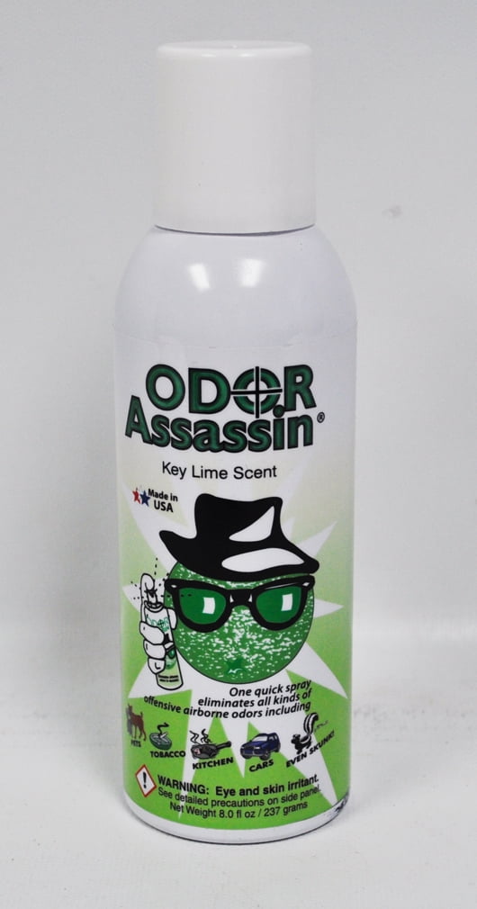 Odor Assassin Odor Eliminator Key Lime Walmart Canada