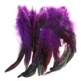 thumbnail image 1 of 50 Pcs Plumes Ailes Plumes Coussin Plumes Bijoux, 1 of 7