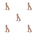 thumbnail image 3 of Calcetines Altos Qarigey Hasta el Muslo 40 cm Múltiples Colores Antideslizante, 3 of 6