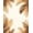 Brown Beige, Pattern 1, variant on ODIKA Tropical Palm Frond Botanical Symmetrical Motif Border Rectangular for Playroom, Bedroom, Reading Nook, Pet Friendly & Kids Safe Play