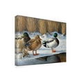 thumbnail image 2 of Trademark Fine Art 'Winter Ducks' Canvas Art by Wilhelm Goebel, 2 of 3