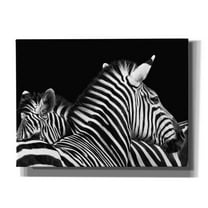 Epic Graffiti 'Zebra I' by Debra Van Swearingen, Canvas Wall Art, 54"x40"