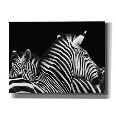 Epic Graffiti 'Zebra I' by Debra Van Swearingen, Canvas Wall Art, 54"x40"