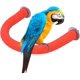 thumbnail image 4 of Loro Madera cruda Tenedor Soporte Bastidor Juguete Hámster Mascota Aves Ramas de Madera de Superficie Rugosa para jaulas de Animales pequeños (Rojo) Zefei Wu 9024735047810, 4 of 4