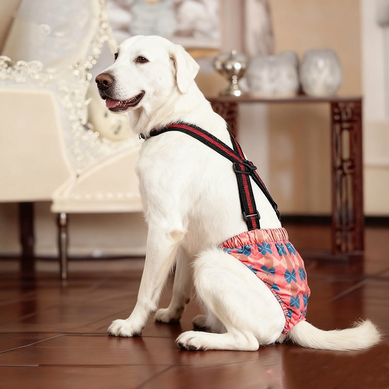3 Pack Avont Washable Female Dog Diaper With Suspender, Reusable Girl Doggie Diapers For Small Medium Large Doggy In Heat Cycle Period Incontinence