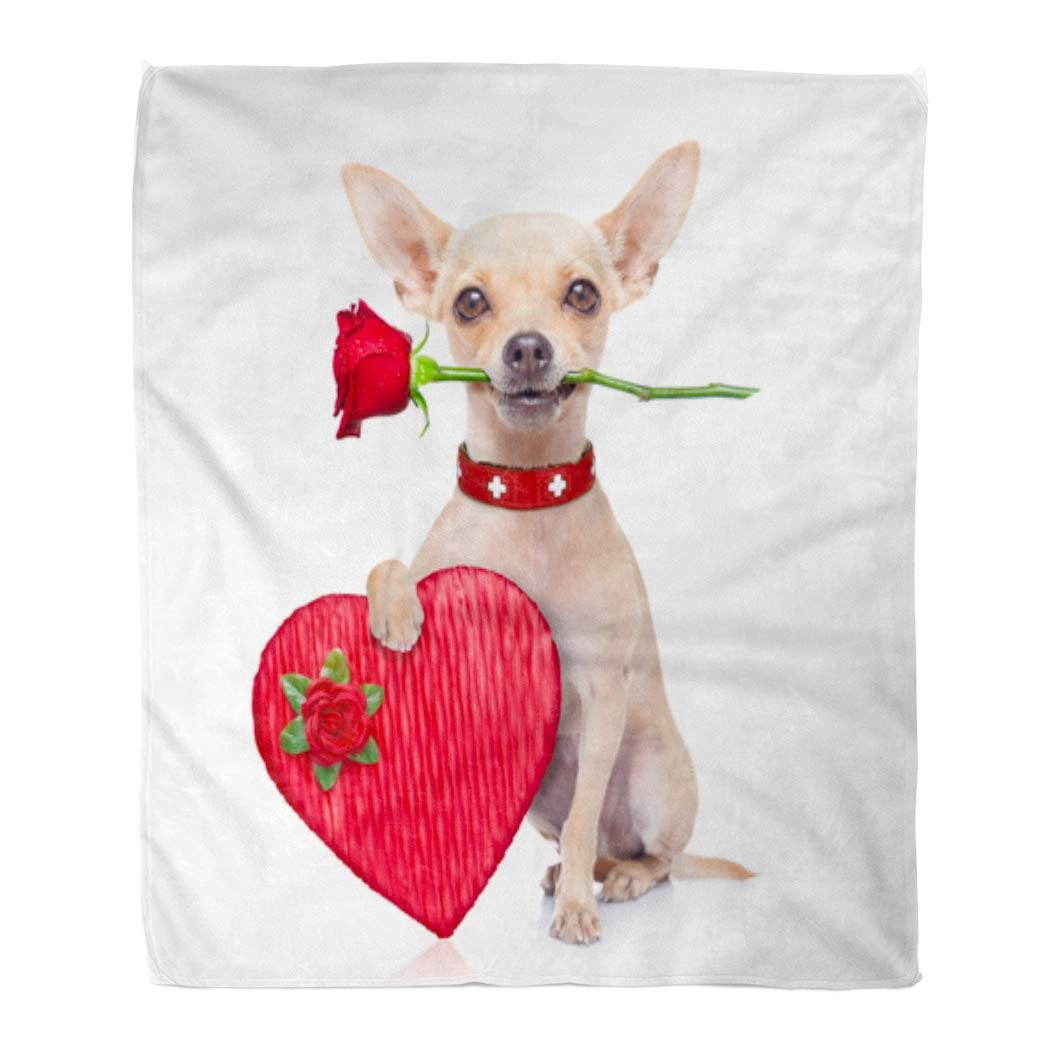 LADDKE Throw Blanket 58x80 Inches Red Chocolate Valentines Chihuahua