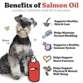 thumbnail image 2 of Salmon Oil for Dogs & Cats - Healthy Skin & Coat, Soft Shiny Glossy Coat, Fish Oil Omega 3 EPA DHA, Immune System & Heart Function Support, Normal Shedding, Liquid Supplement for Pets, 32 oz, 2 of 8