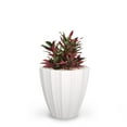 thumbnail image 2 of Sedona 18” x 18” x 18” Round White Self Watering Plastic Planter, 2 of 11