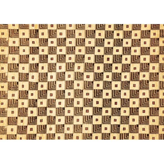 Ahgly Company Indoor Rectangle Checkered Brown Modern Area Rugs, 2' x 3'