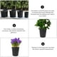 thumbnail image 4 of Macetas de 10 galones sin marca para plantas, macetas para flores, macetas para cactus, macetas para plantas, 4 of 6