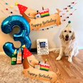 thumbnail image 3 of Globos de cumpleaños Woduntes Dachshund Dog, 2 unidades, para fiestas de perros, 3 of 7