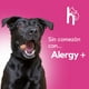 thumbnail image 4 of Suplemento Para Mascotas Alergy+ 60 Tabletas para Alergias Perro Y Gato | Happy & Healthy Pets, 4 of 5