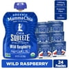 Mamma Chia Organic, Wild Raspberry Chia Squeeze, 3.5 oz, 24 Count Pouches 6 Boxes of 4