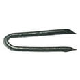 thumbnail image 2 of National Nail  50078 Hot Galvanized Fence Staple 1-1/4", 2 of 2