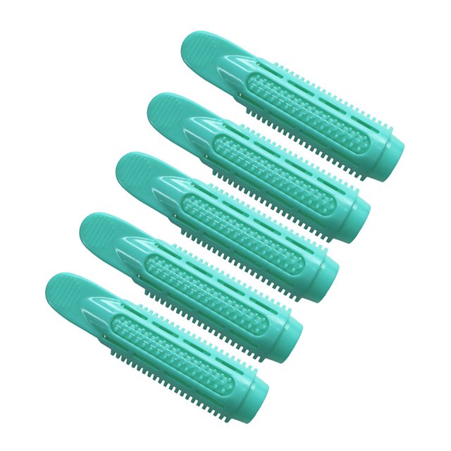 FcBaudy Pinces à Cheveux pour Femmes, Pinces à Cheveux pour Coiffure, Pinces à Cheveux Naturelles pour Filles, Perm, Pince à Cheveux Modélisation Tridimensionnelle, Rouleau Boucleur 5 Pcs the Beauty
