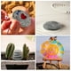 thumbnail image 4 of 9 piedras planas para manualidades, rocas de río para pintar, rocas para paisajismo de jardín, decoración, guijarros planos, rocas de río para pintar, 4 of 7