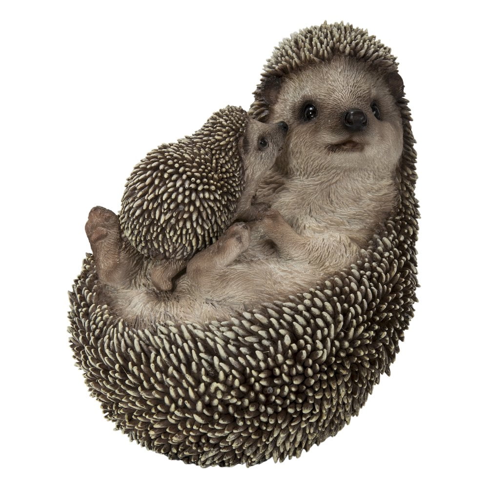 Mother & Baby Hedgehogs on Back