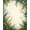 Green, Pattern 4, variant on ODIKA 4'x6' Machine Washable Non-Slip Area Rug, Wild Tiger Botanical Motif with Retro Blossoms and Leafy Vines High Traffic Rug, Green, 283203