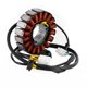 thumbnail image 5 of Estator magnético 21003-0191 para Kawasaki BR125 Z125 BX125 Ninja 125 2019-2020, 5 of 12