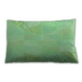 thumbnail image 1 of Ahgly Company Outdoor Rectangular Contemporary Lumbar Throw Pillow, 13 inch by 19 inch, 1 of 5