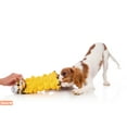 thumbnail image 7 of Hartz Double Play Pal Toss and Retrieve Dog Squeaky Toy, Multi-Color, 7 of 7