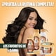 thumbnail image 5 of Shampoo Fructis Hair Food Manteca de Cacao para cabello rizado 300 ml, 5 of 9