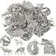 thumbnail image 1 of 1 CAJA 48 piezas 6 estilos de dijes de lobo, dije de lobo a granel, aleación de plata antigua, luna, dragón, estilo tibetano, pluma, animales salvajes, dijes redondos, 1 of 6