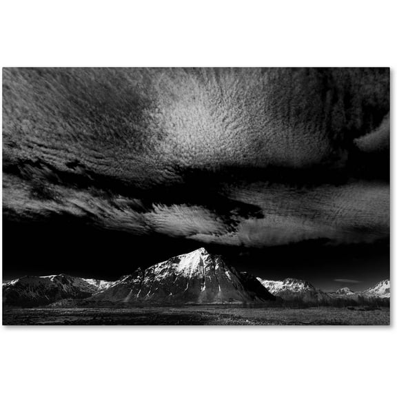 Trademark Fine Art "Space Invaders" Canvas Art by Philippe Sainte-Laudy