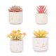 thumbnail image 1 of Plantas artificiales suculentas, las plantas artificiales se utilizan para la decoración de la oficina en el hogar., 1 of 5