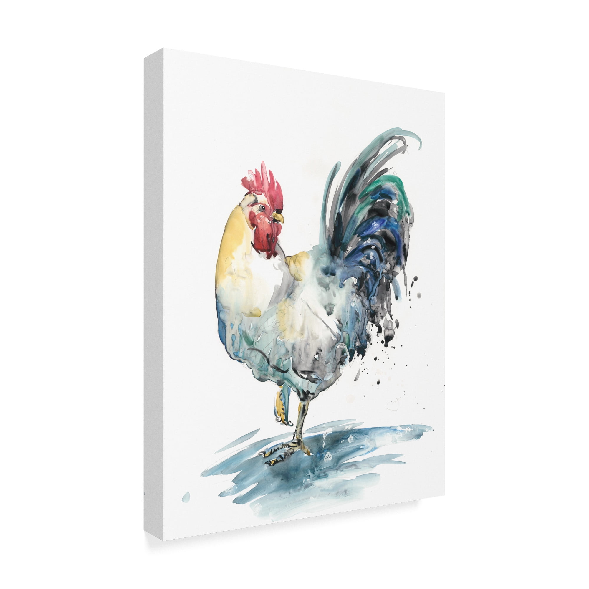 Trademark Fine Art 'Rooster Splash I' Canvas Art by Melissa Wang