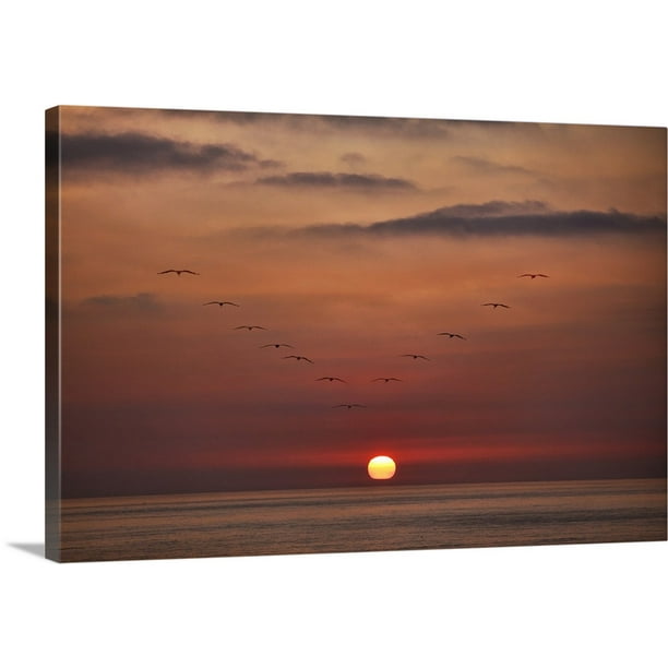 Great Big Canvas Ocean Birds At Sunset Canvas Wall Art Walmart Com Walmart Com