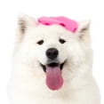 thumbnail image 3 of Vibrant Life Halloween Costume for Dogs, Paw-risian, Pink, Large, 3 of 8