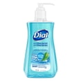 thumbnail image 1 of Dial Antibacterial Liquid Hand Soap, Spring Water 221mL, 1 of 3