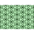 thumbnail image 1 of Ahgly Tapis Rectangulaire Lavable en Machine Vert Menthe, 5 Pieds x 7 Pieds, 1 of 7