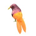 thumbnail image 4 of Decoración de plumas artificiales y coloridas aves d encaramadas s 5 Sunnimix Pájaros artificiales coloridos, 4 of 8