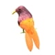thumbnail image 4 of Simución de pájaro emplumado falso artificial, pájaros de pie, decoración de para el hogar, foto 5 Zulema Pájaros artificiales coloridos, 4 of 8