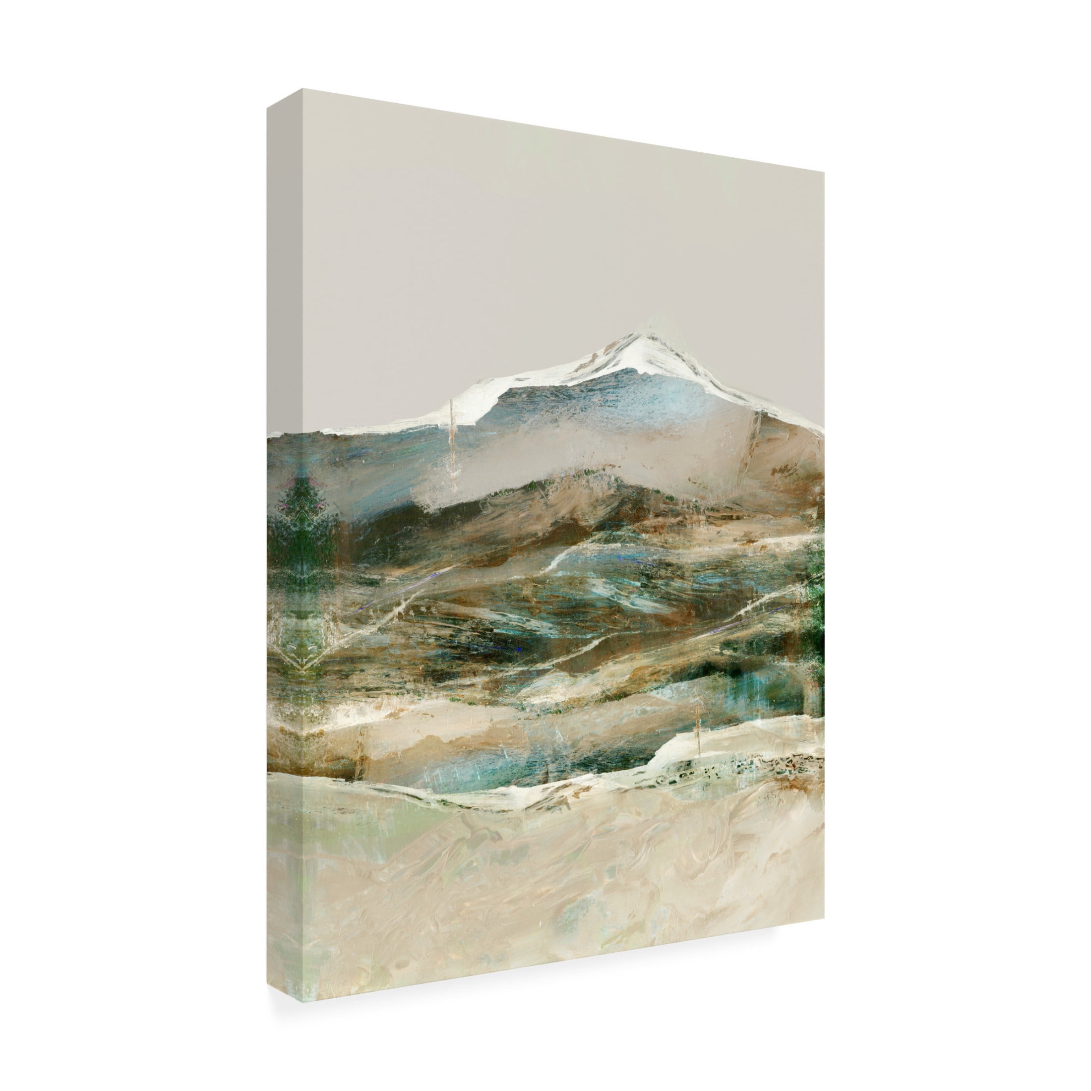 Trademark Fine Art Dan Hobday  Cordillera Canvas Wall Art