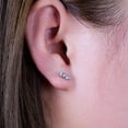 thumbnail image 6 of Limerencia G23 Pure Titanium Hypoallergenic Earrings | F136 Implant Grade Titanium Jewelry for Sensitive Ears for Men and Women, 6 of 6