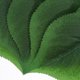 thumbnail image 3 of Raindrops 50Ud Hojas Artificiales Para Ramos Y Centros De Con Acabado Y Sin Alergias, 3 of 6