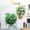 Green, variant on mtvxesu Artificial Potted Plant with Turtle Leaf Design, 23.62 Inches, Green Plastic Faux Tropical Decor for Indoor or Outdoor Use, 1 Piece