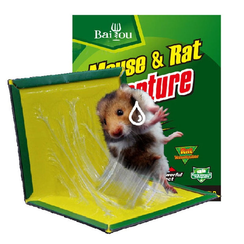 10xRat Poison Strong Super Sticky Rats Board Mouse Trap Sticky Household Catcher 