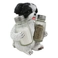 thumbnail image 3 of Ebros Hugging Pooch Shih Tzu Glass Salt Pepper Shakers Holder Figurine 6"Tall, 3 of 10