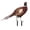 Pheasant 2, variant on Diceymbol Pheasant Garden Stake Wildlife Bird Decor for Yard Patio Lawn 8.5 Inch