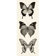 thumbnail image 2 of Van Swearingen, Debra 12x24 Black Ornate Wood Framed with Double Matting Museum Art Print Titled - Butterfly BW Panel I, 2 of 4