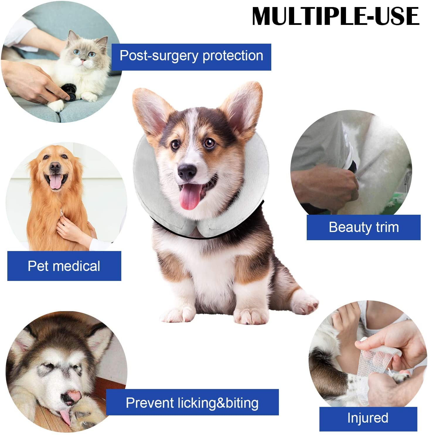 Inflatable dog collar maxi cheap zoo