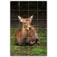 thumbnail image 1 of Picture-Tiles.com: Deer Ceramic Tile Wall Mural WAL500469-46XL. 48"W x 72"H using (24) 12" x 12" Ceramic Tiles-Satin Finish, 1 of 3