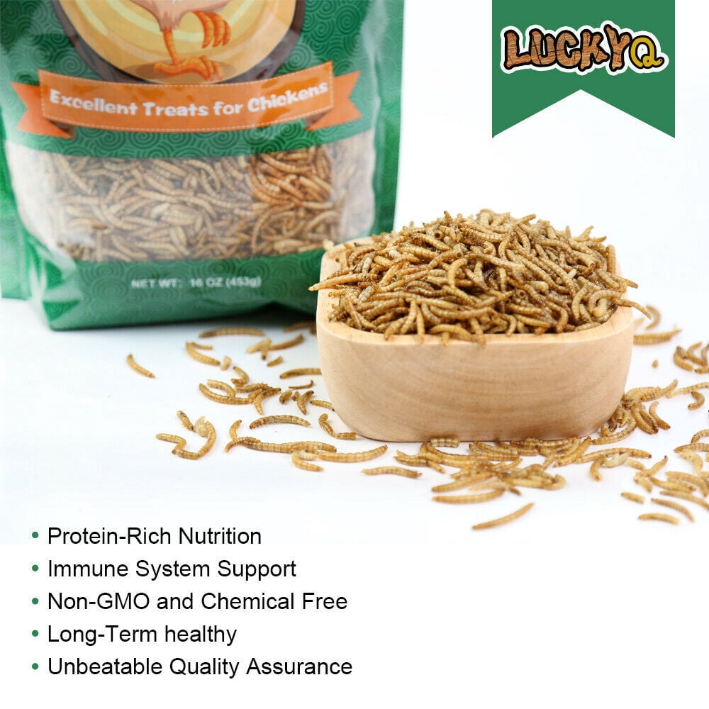 Dried Mealworms for Birds Chickens Hamster Fish Reptile Turtles 10 lbs Mealworms