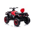 thumbnail image 3 of Upgraded 24V 4x4 Raptor 2 Seater Kids Ride on ATVs, 3 of 5