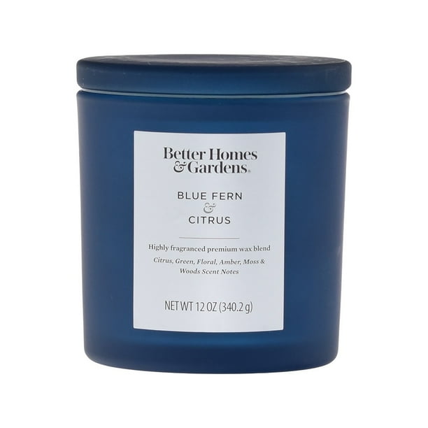 Better Homes & Gardens Blue Fern & Citrus 12oz 2wick Candle with Glass